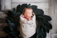 babies + expecting